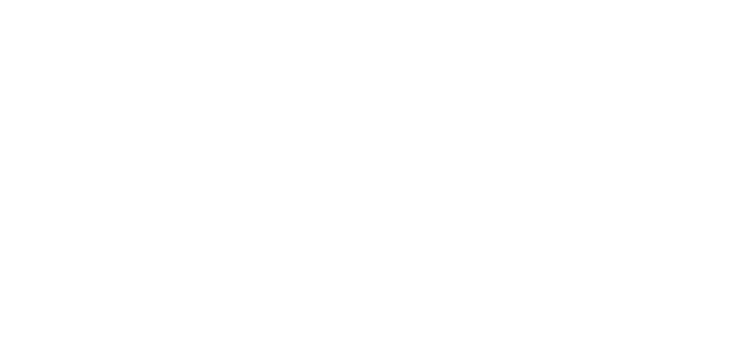 Euroservices Partner